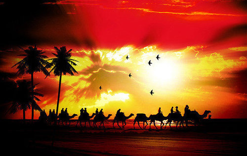 Arabian sunset