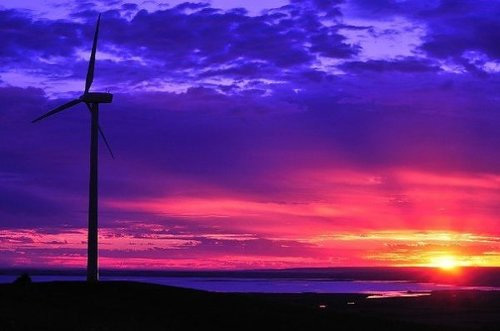 Toora Wind Farm sunset