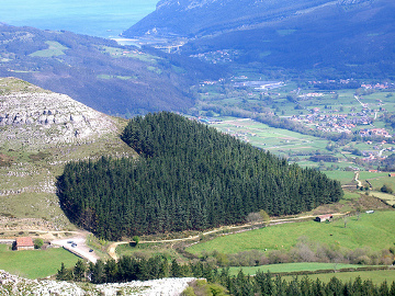 Heart-Shaped Forest, Cantabria, Spain