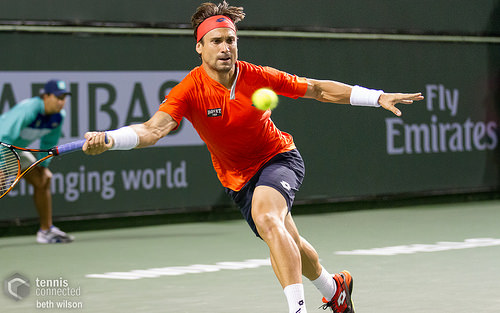 David Ferrer